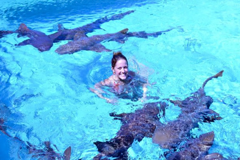 巴哈马加勒比旅行与鲨鱼游泳