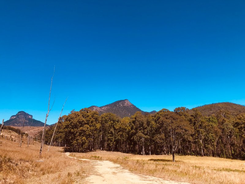 巴尼山国家公园的巴尼山是澳大利亚昆士兰州最好的徒步旅行之一