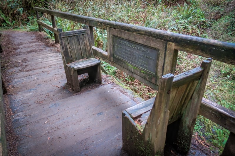 两个长凳座位位于横跨James Irvine Trail到Fern Canyon的木桥中间