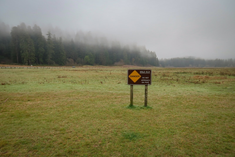 草原溪游客中心附近的田野笼罩在薄雾中，上面写着:“危险:野生麋鹿。”不要步行接近。”