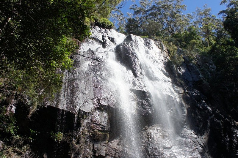 斯普林布鲁克国家公园的普灵溪瀑布是澳大利亚昆士兰州东南部最好的徒步旅行之一