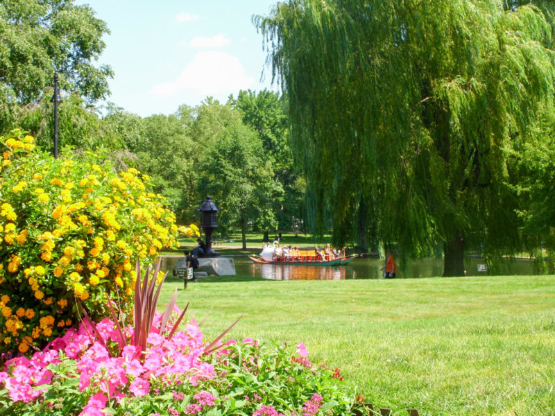游船波士顿公共花园，马萨诸塞州波士顿在美国独自旅行万博客户端登录