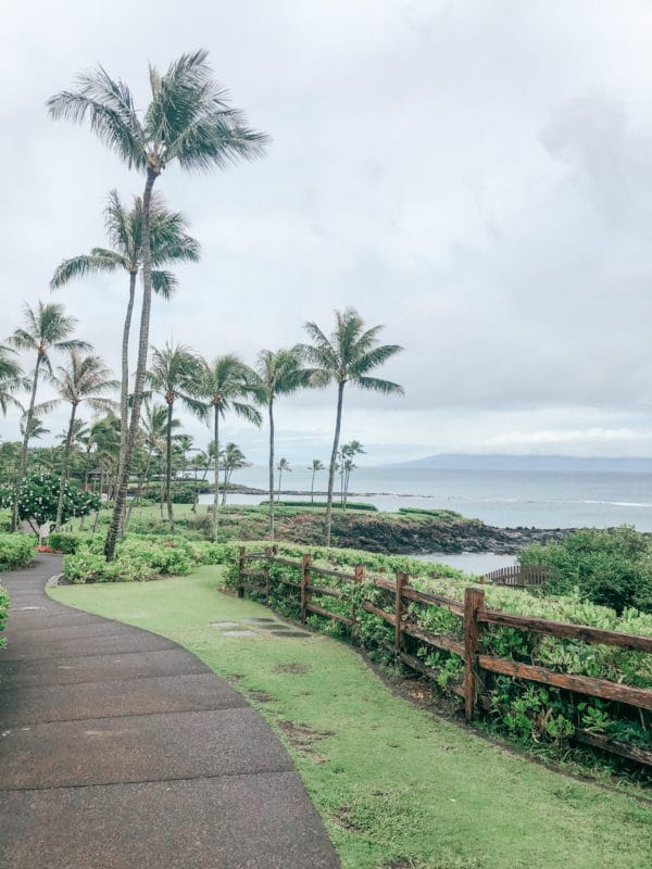 独自前往美国的夏威夷毛伊岛，在海滩上放松