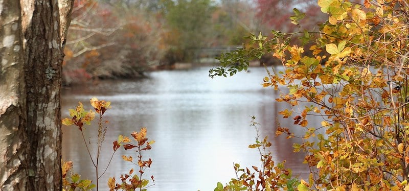 康尼科特河州立公园保护区的一个池塘和五颜六色的秋天树叶，沿着长岛徒步旅行路线